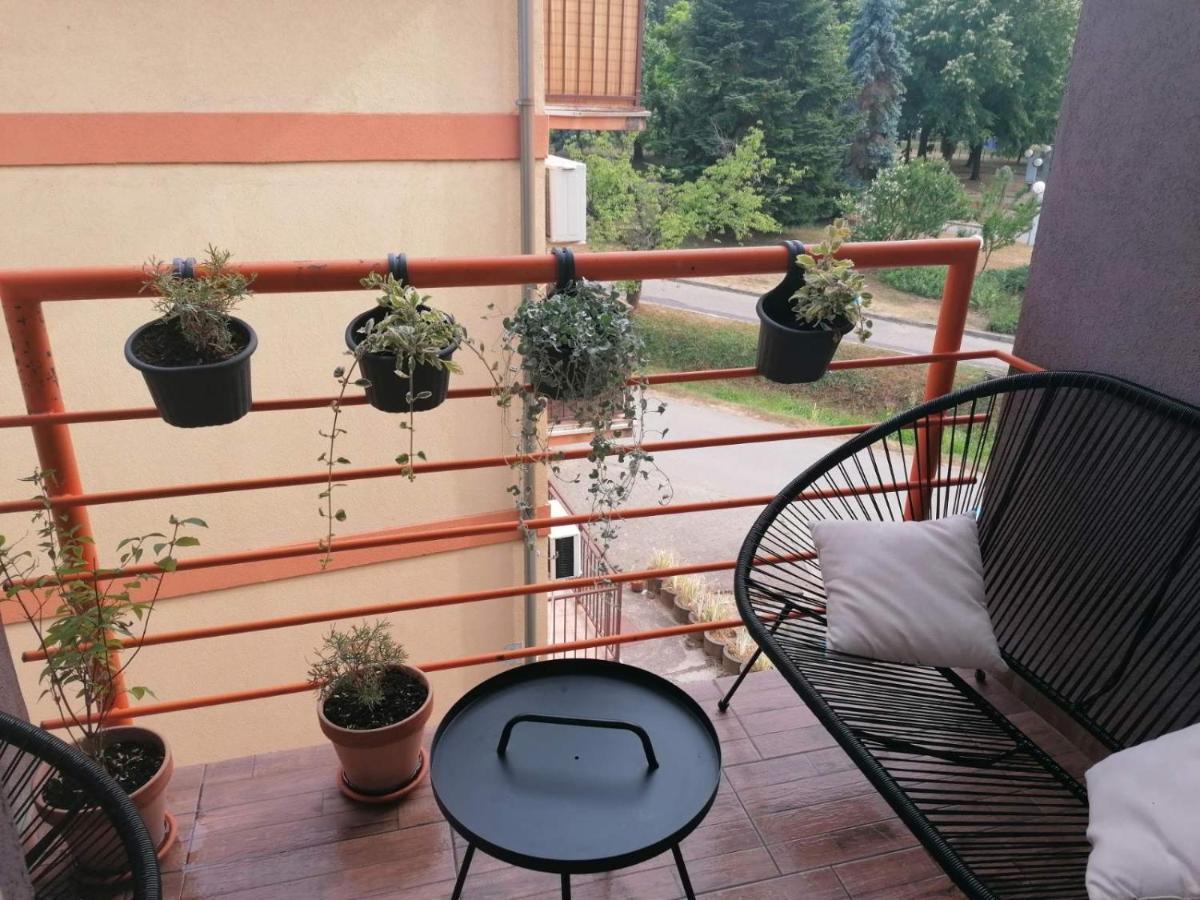 Koko Apartman Vrnjacka Banja Exterior photo